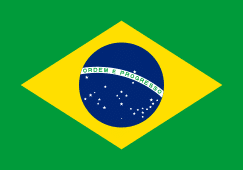 Investigator in Brazil