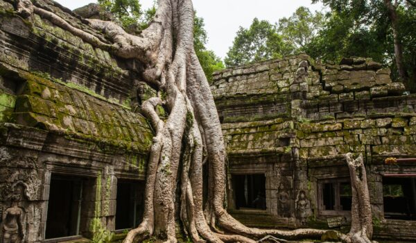 Krong Siem Reap, Cambodia; skip tracing services in Cambodia concept