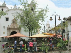 people buying in an outdoor market in Cuenca, Ecuador; locate birth parents in Ecuador concept