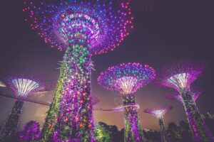 Gardens by the Bat, Singapore; skip tracing services in Singapore concept